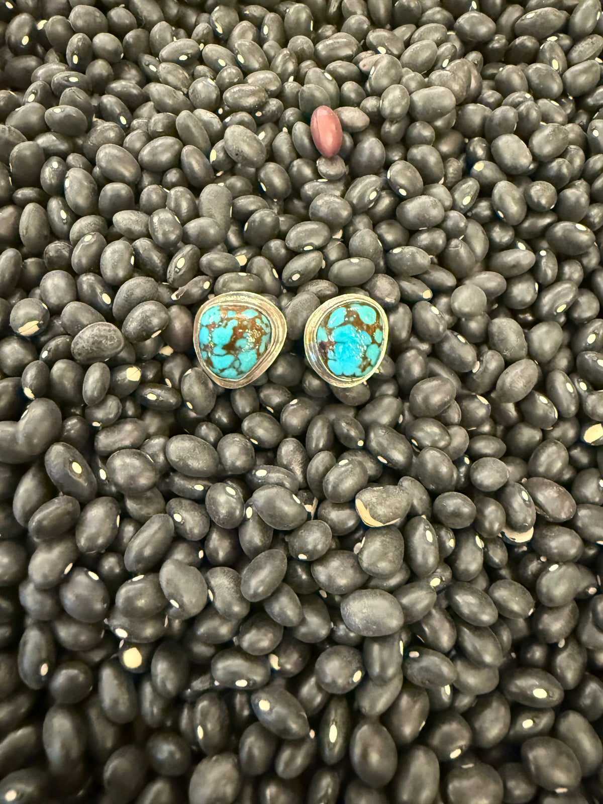 Royston Turquoise Set in Sterling Bezel Earrings