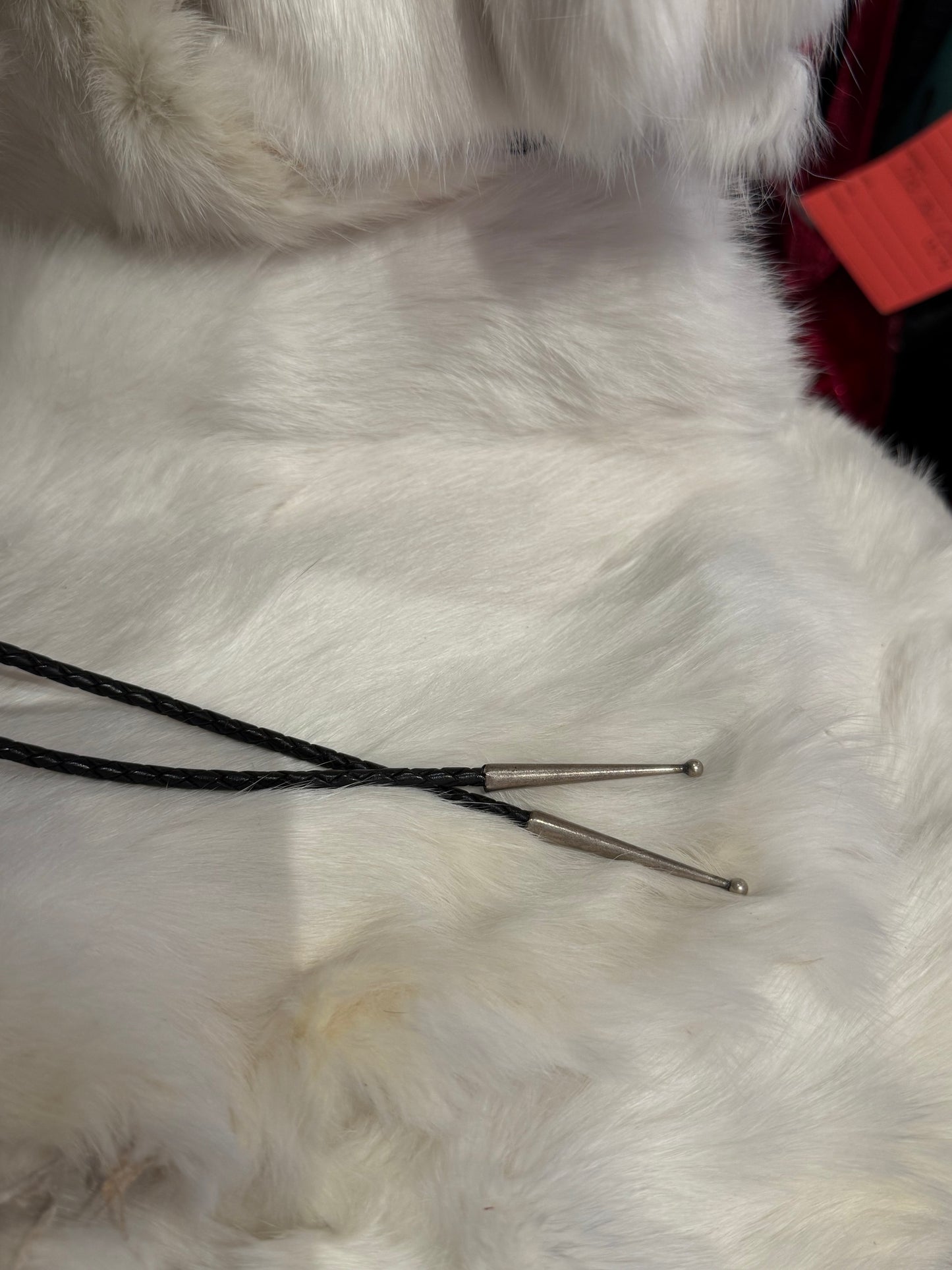 KT Bolo