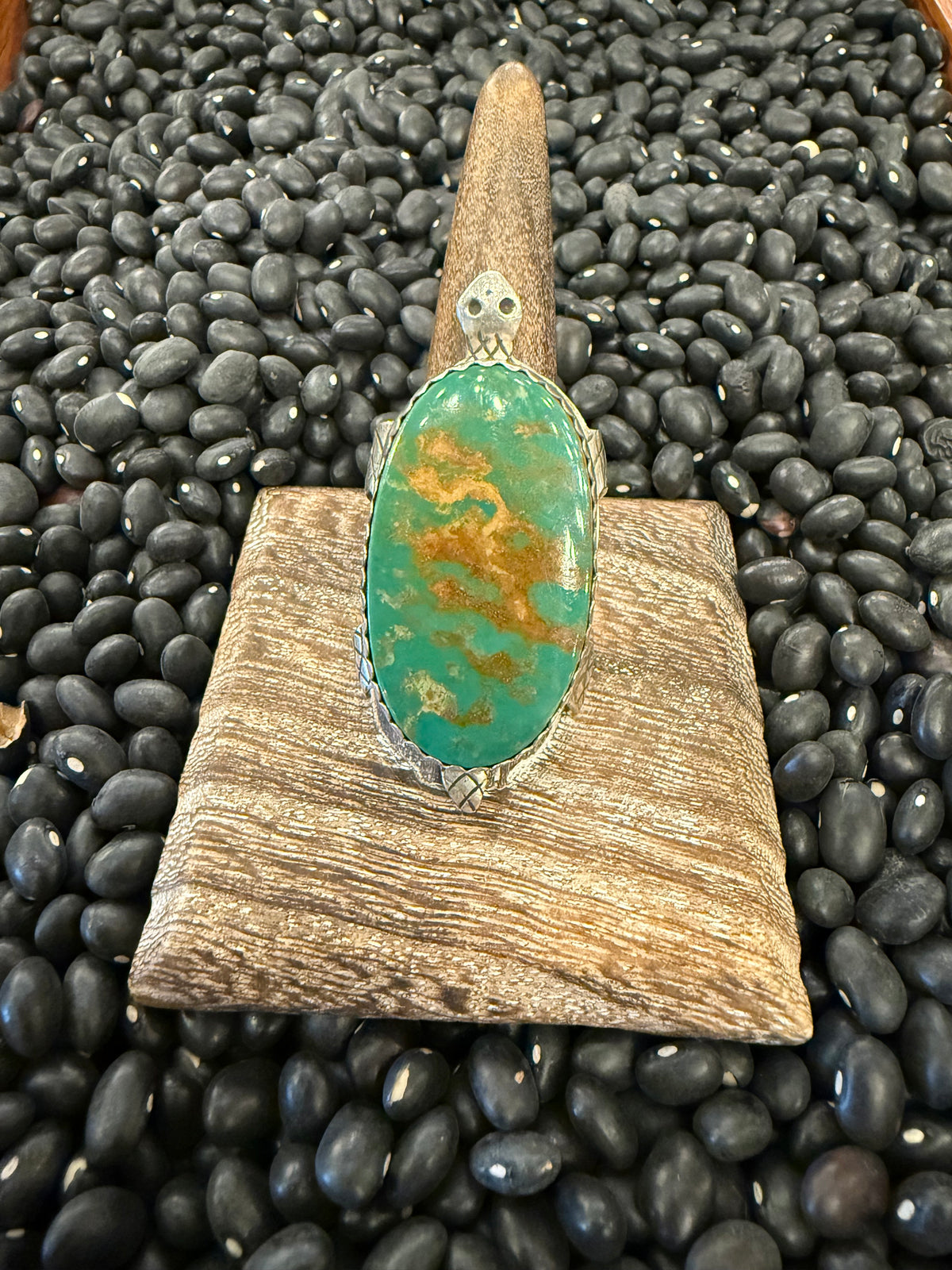 Large Turquoise Turtle set