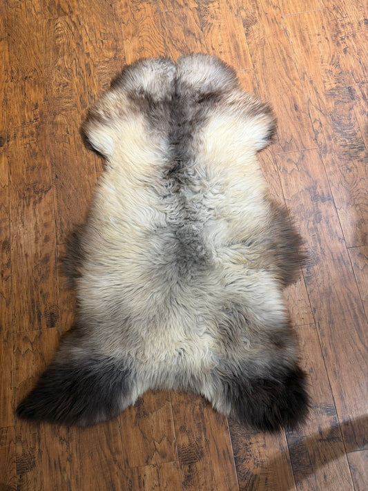 TRI COLORED - MEDIUM