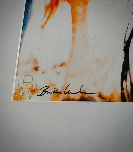 Bull photograph