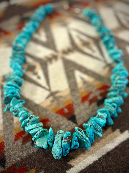 Chunky Turquoise Necklace