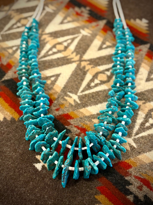 Long Turquoise and Heishi Necklace