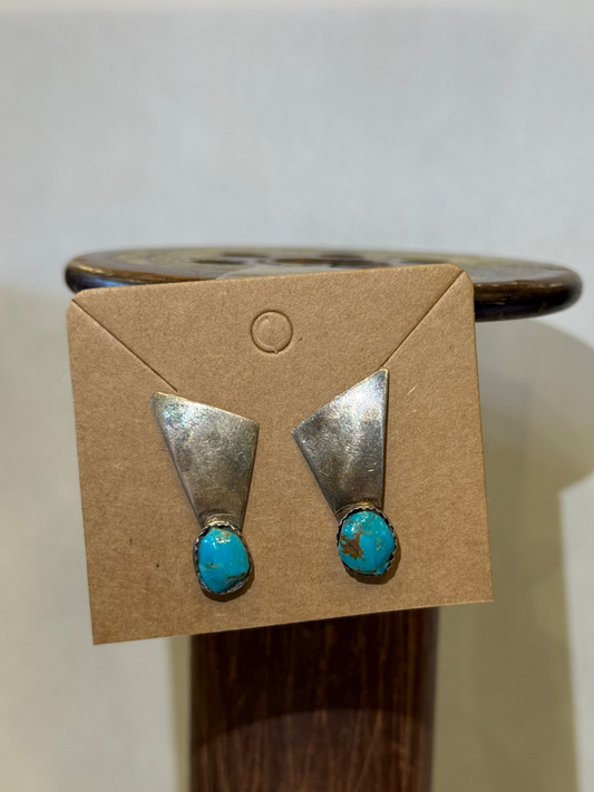 Stud Earrings - HC5