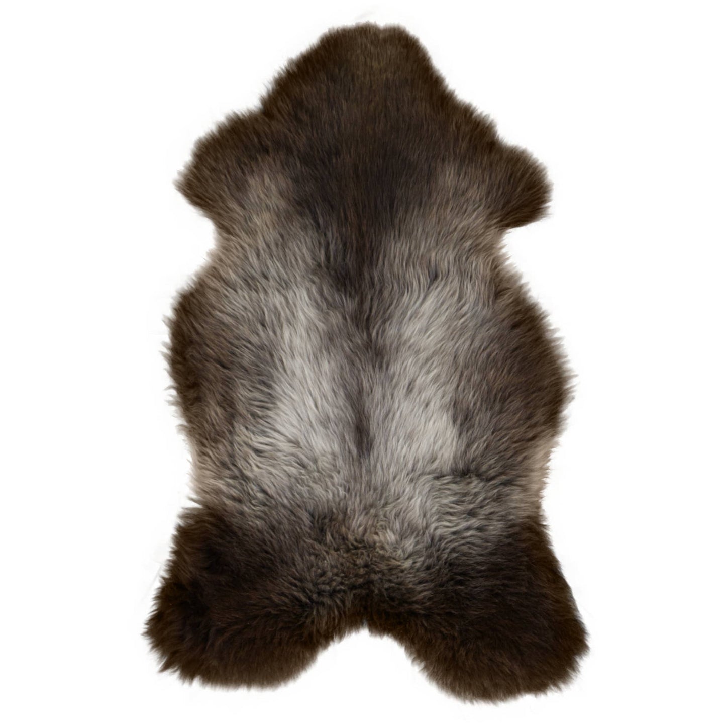 Texel Sheep Fleece Blue Texel