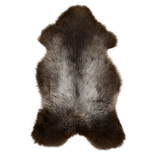 Texel Sheep Fleece Blue Texel