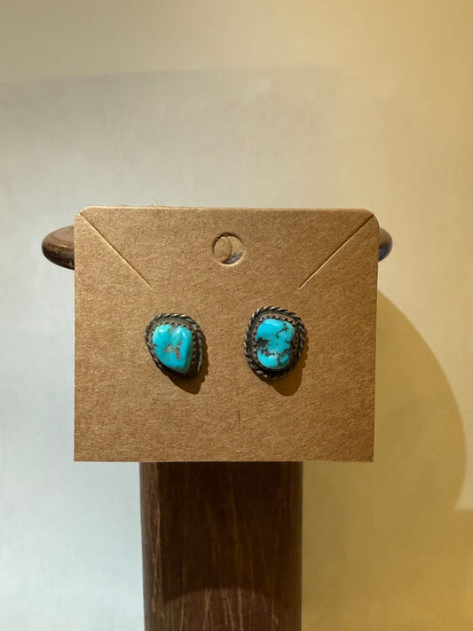 Stud Earrings - HC20