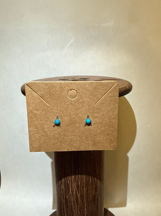 Stud Earrings - HC7
