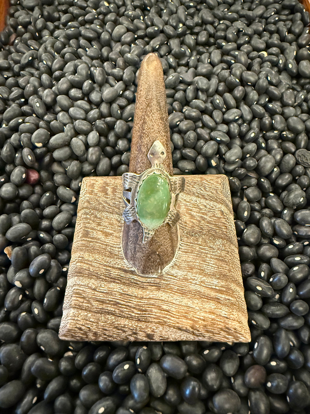 Small Turquoise Turtle Set