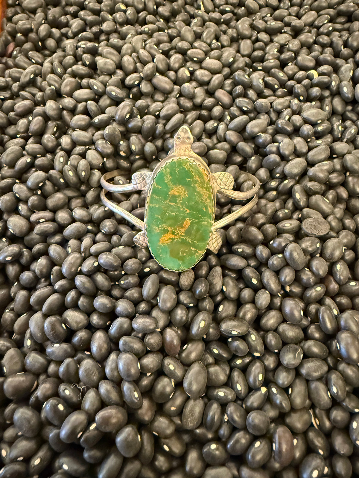 Large Turquoise Turtle set