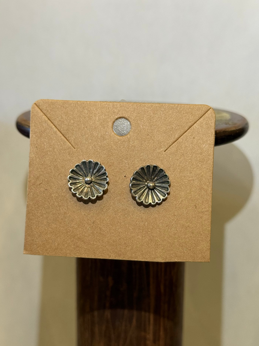Stud Earrings - HC13