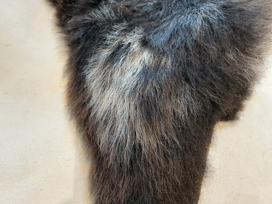 BROWN/WHITE SPOTS - MEDIUM Rug