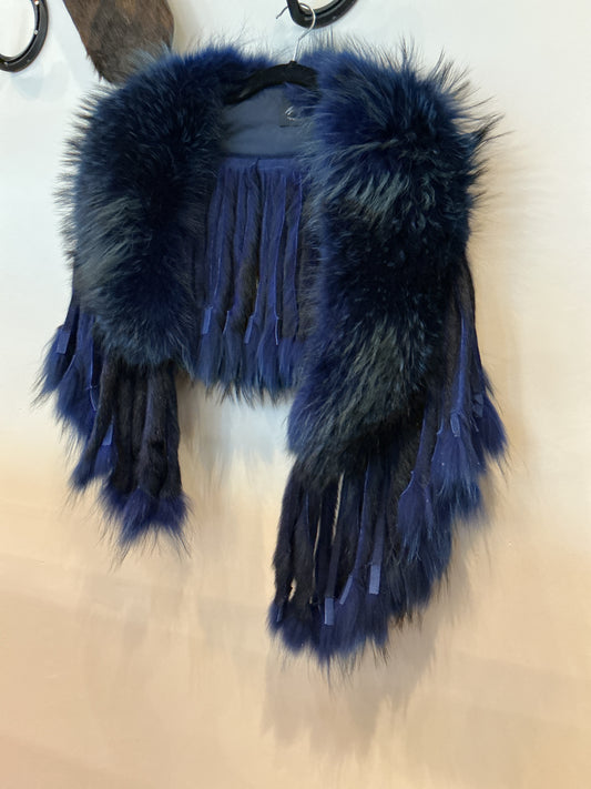 Blue Raccoon Collar