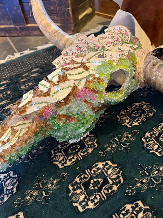 Antique Store Longhorn Skull