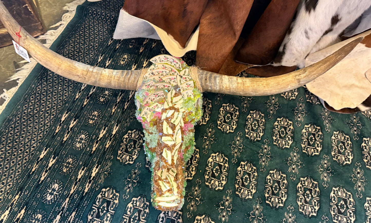 Antique Store Longhorn Skull