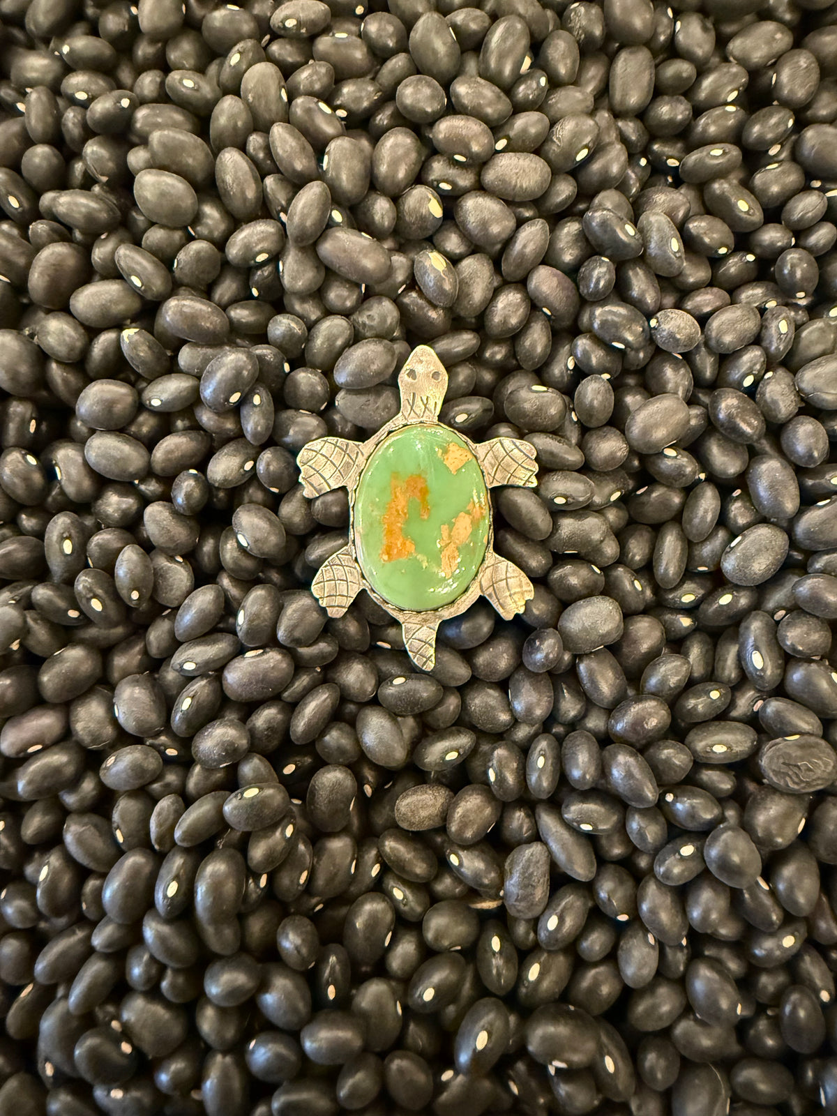 Large Turquoise Turtle set