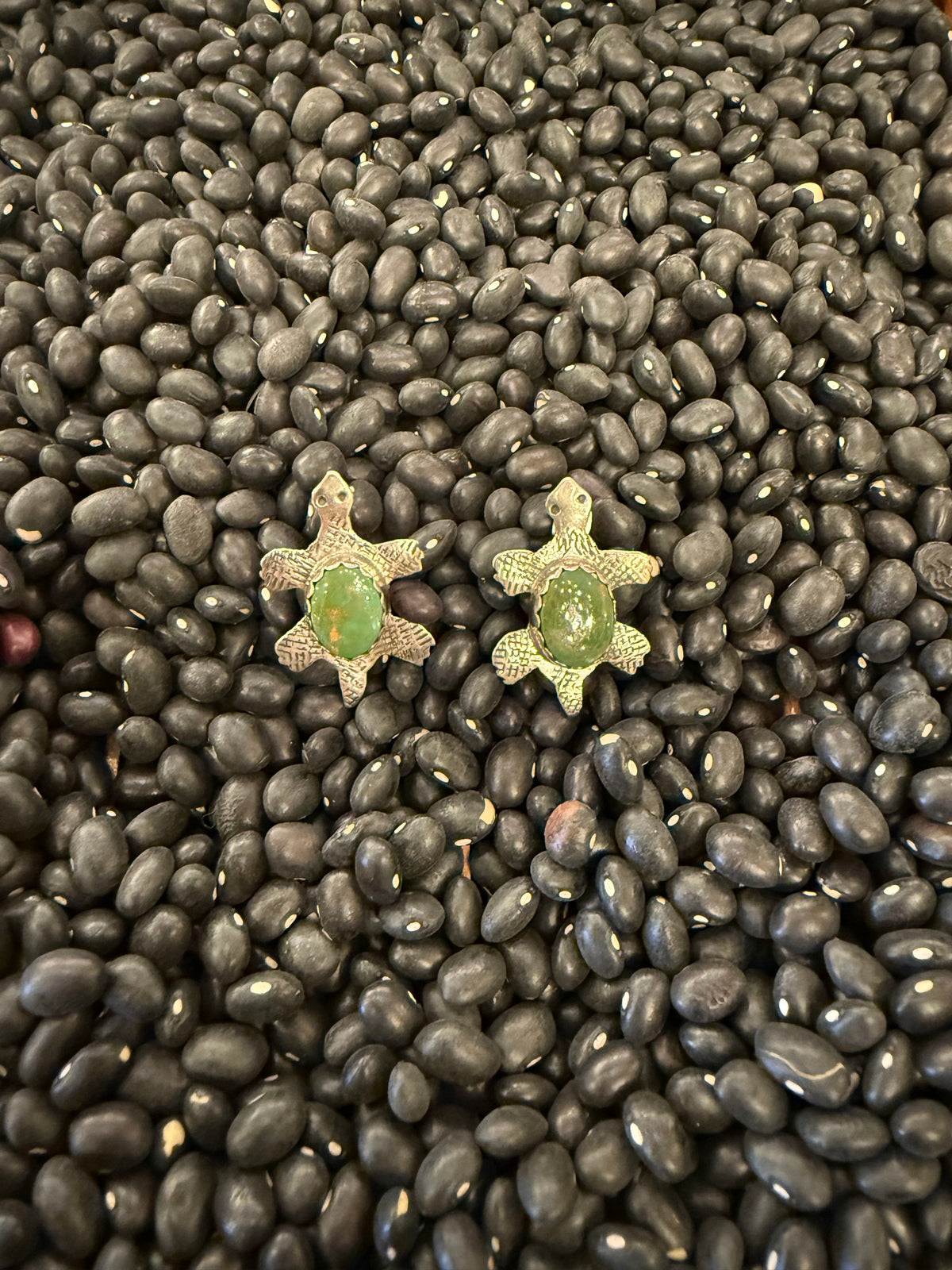 Small Turquoise Turtle Set