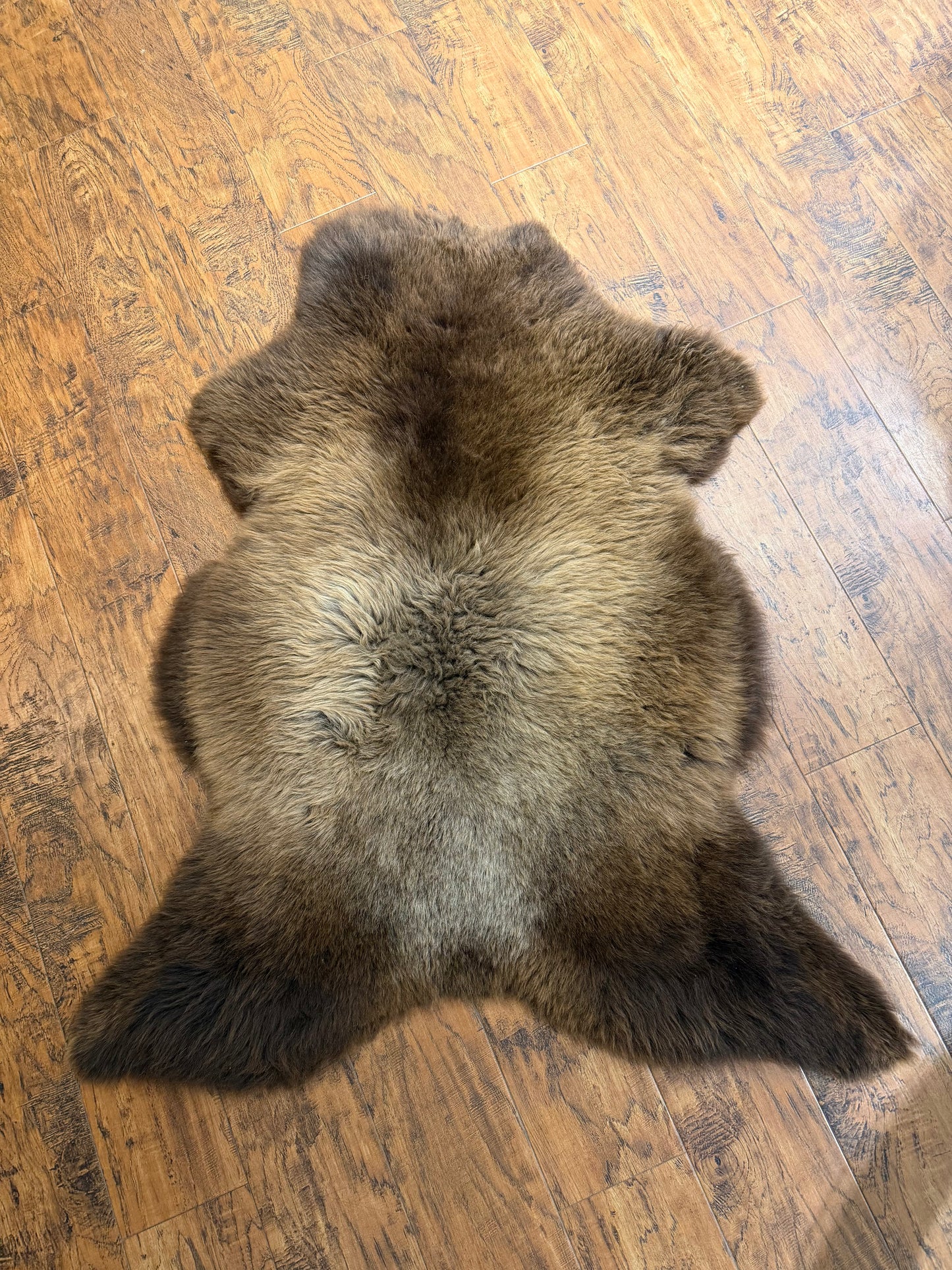 TRI COLORED - MEDIUM Rug