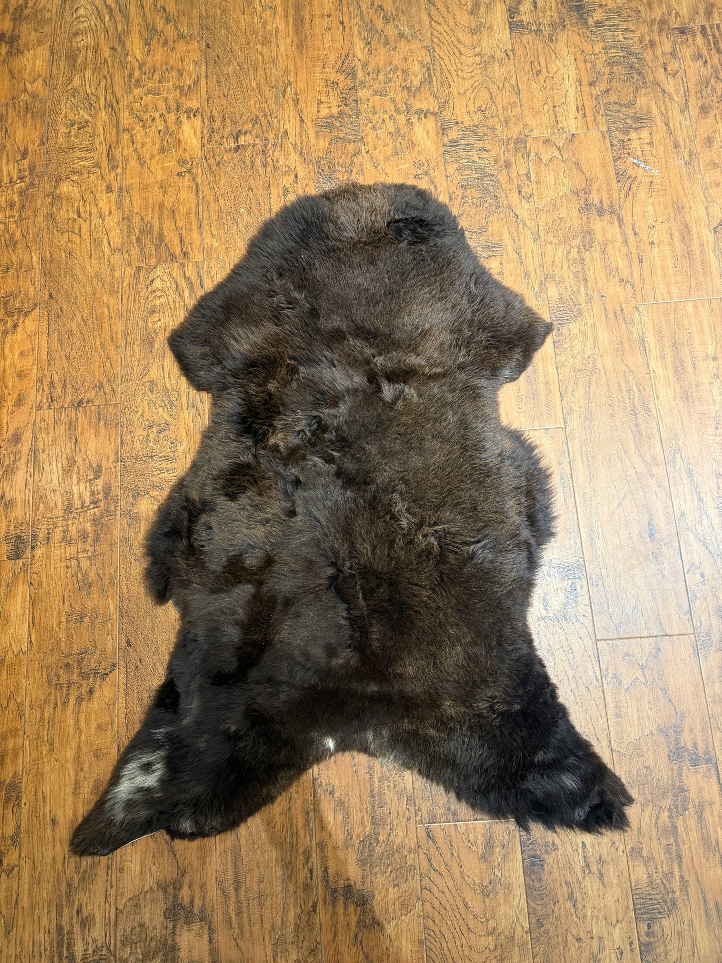 BROWN/WHITE SPOTS - MEDIUM Rug