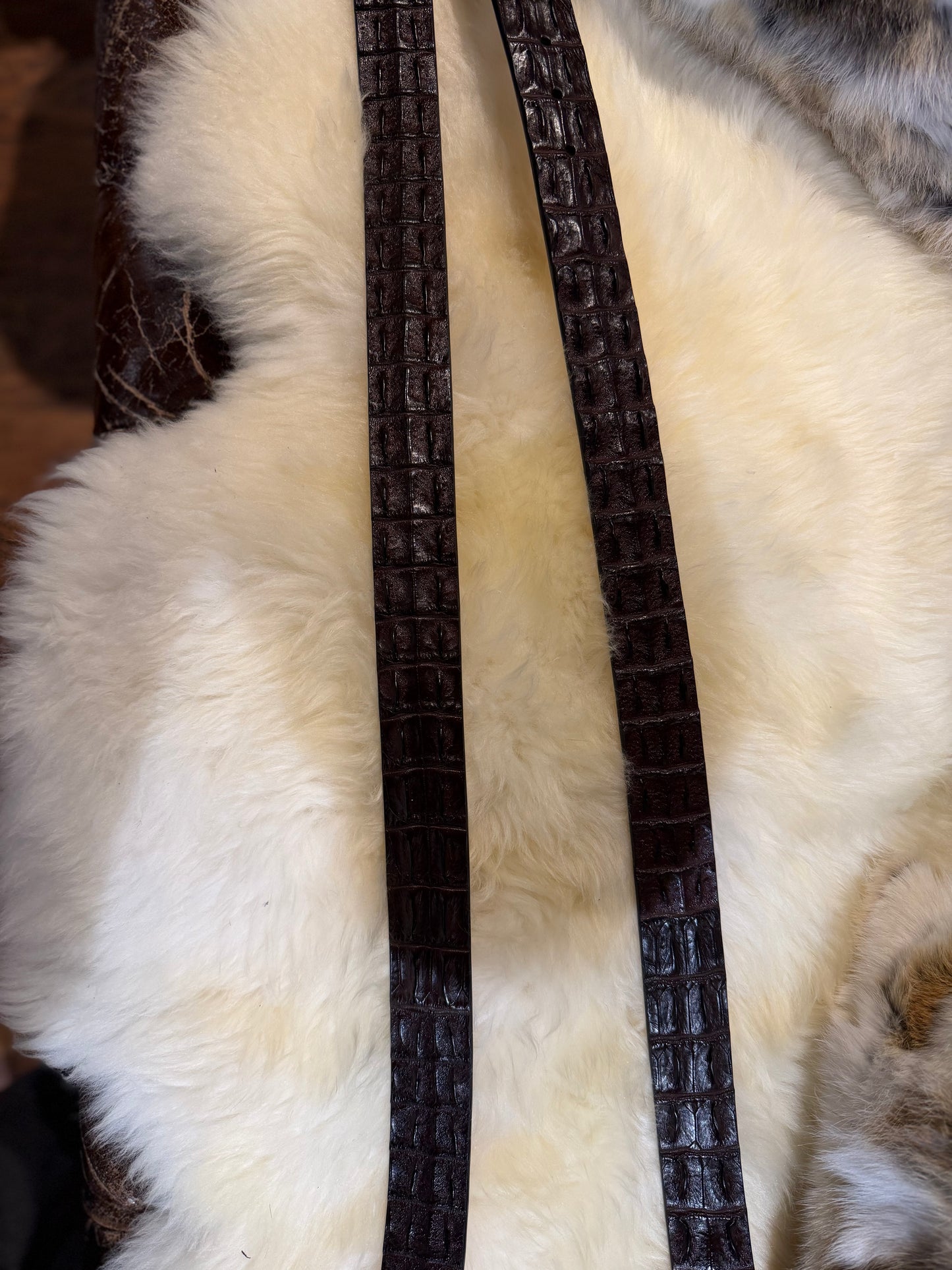 Nile 'Horn Back' Crocodile Leather Belt Strap - Espresso