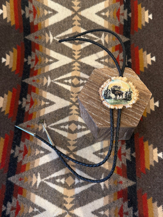 Montano Elk Horn Bolo Tie