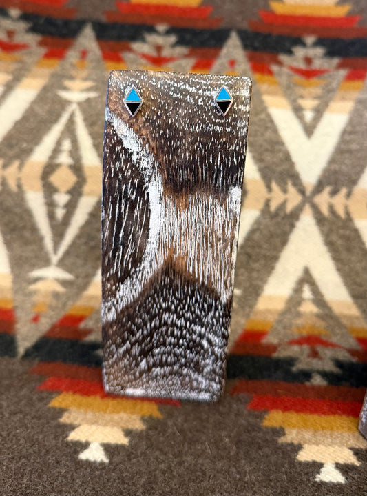Symmetry Onyx/Turquoise Earrings