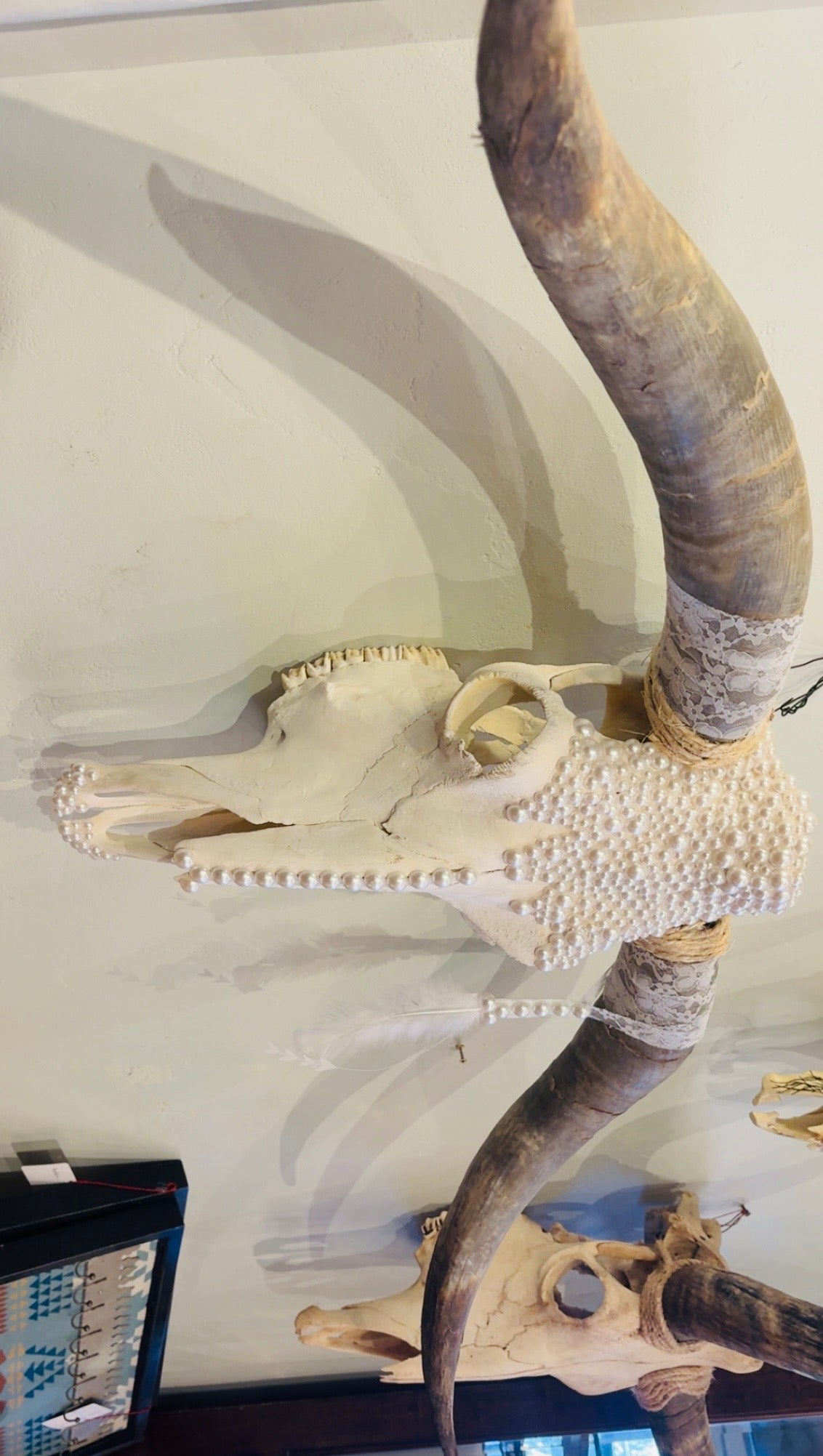 Wedding Vibes Longhorn Skull