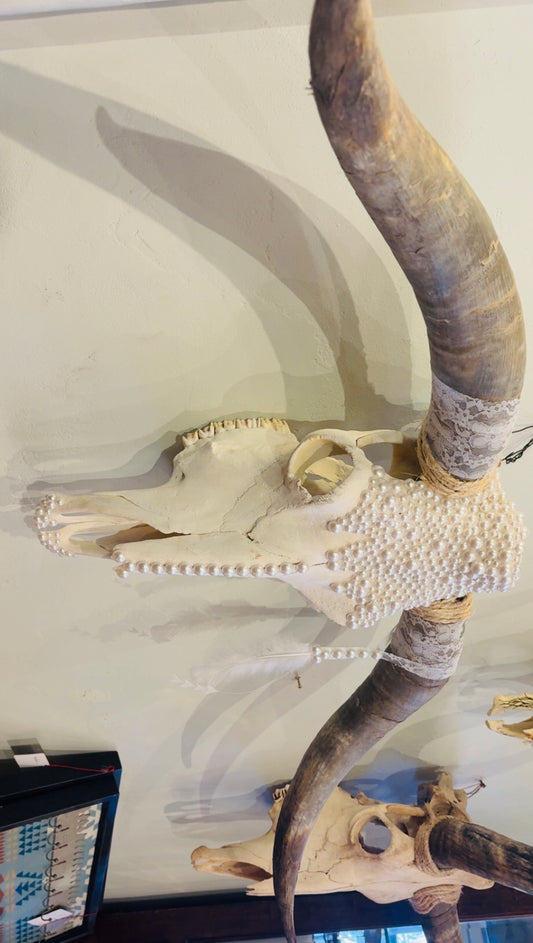 Wedding Vibes Longhorn Skull