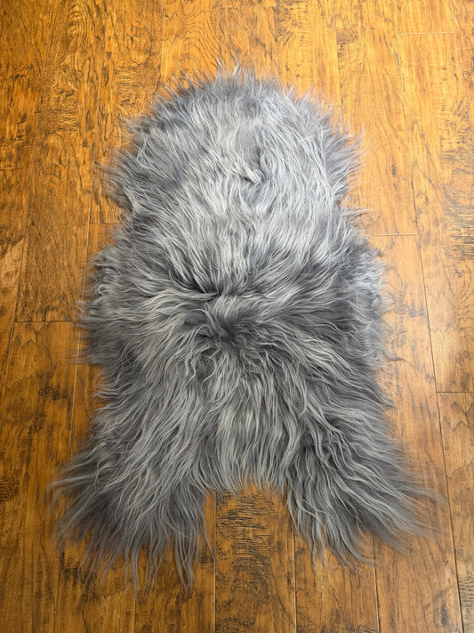 SINGLE GREY LONG HAIR ICELANDIC SHEEP