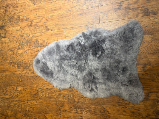 SINGLE GREY SHORN ICELANDIC SHEEP