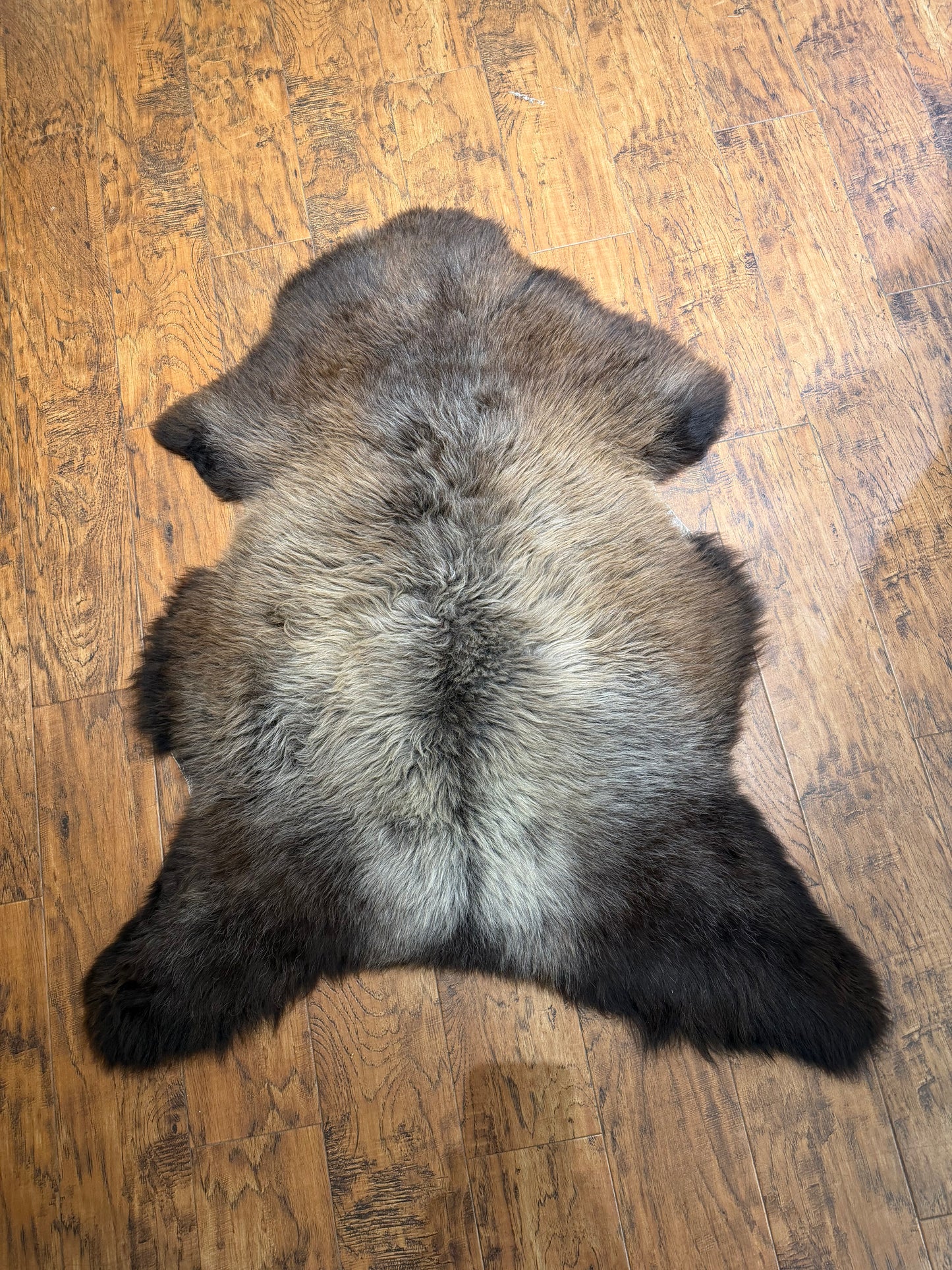 TRI COLORED - MEDIUM Rug