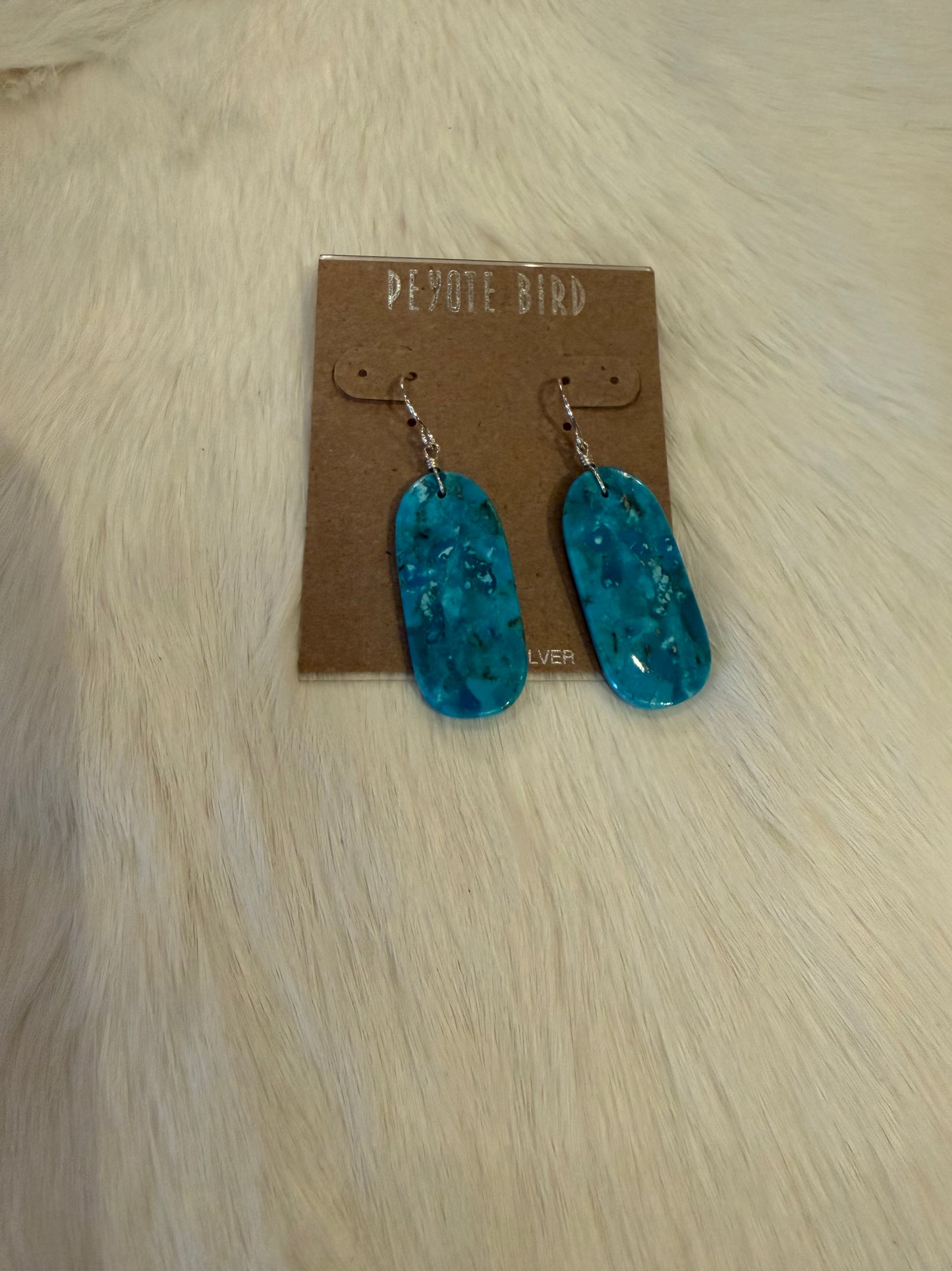 Jennifer Medina Native Contemporary Earrings