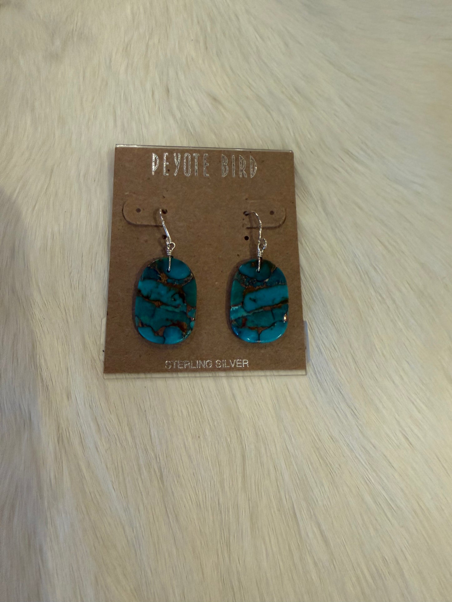 Jennifer Medina Native Contemporary Earrings
