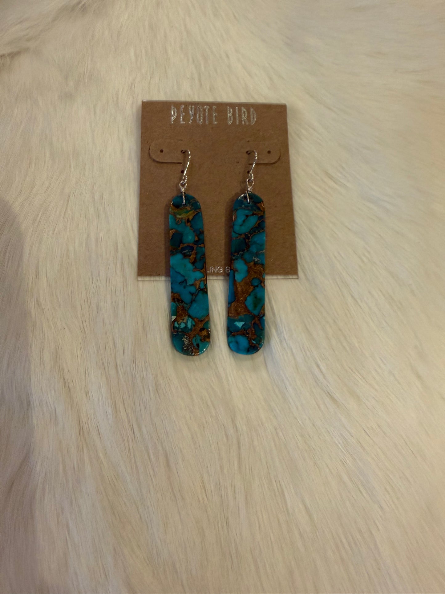 Jennifer Medina Native Contemporary Earrings