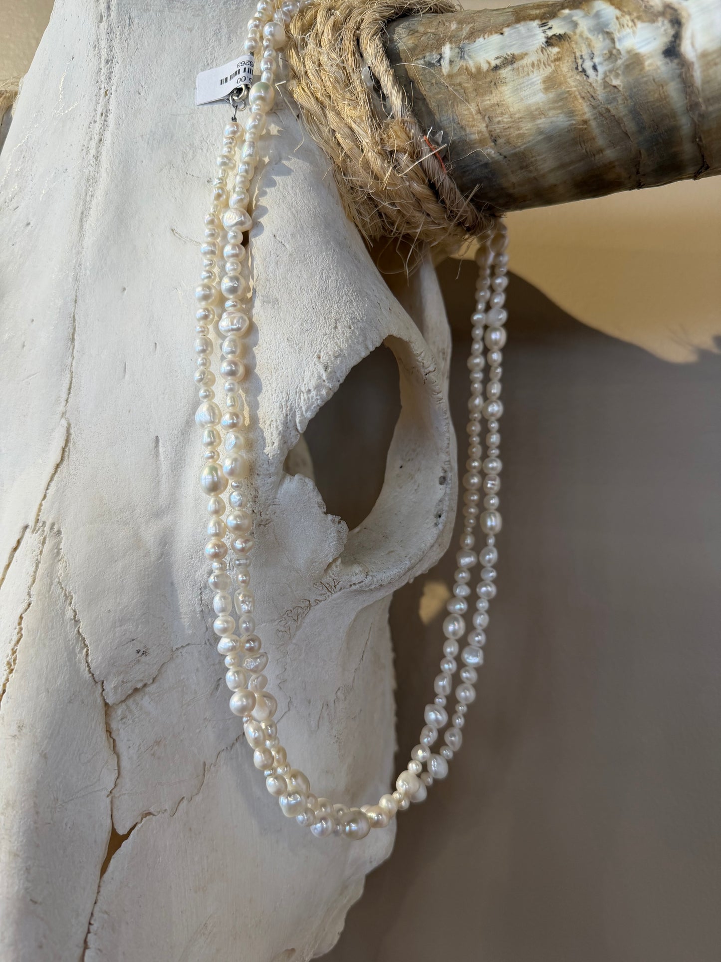 Moonlight Mesa Necklace