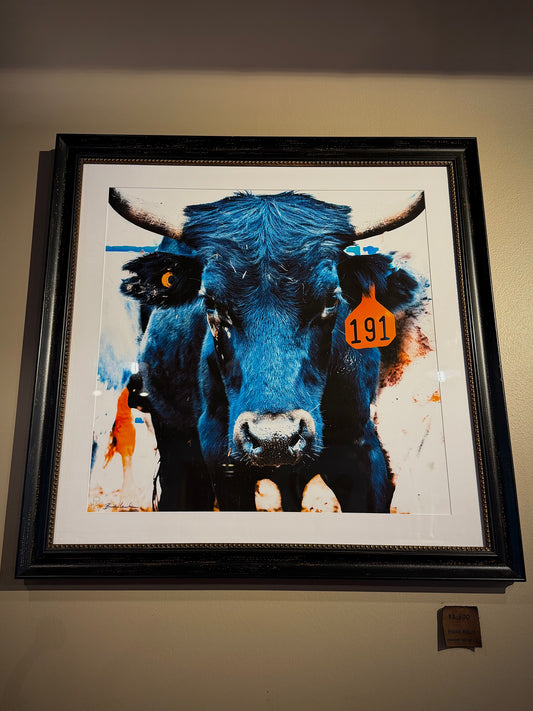 Bull photograph