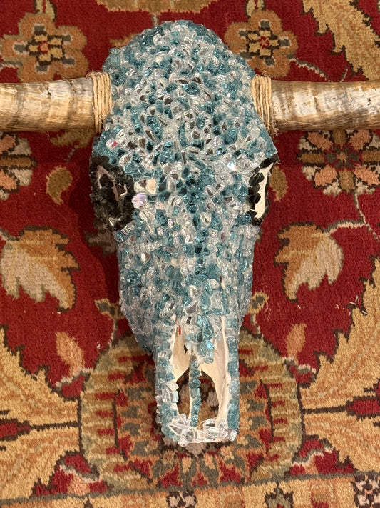 Beautiful in Blue Longhorn Skull