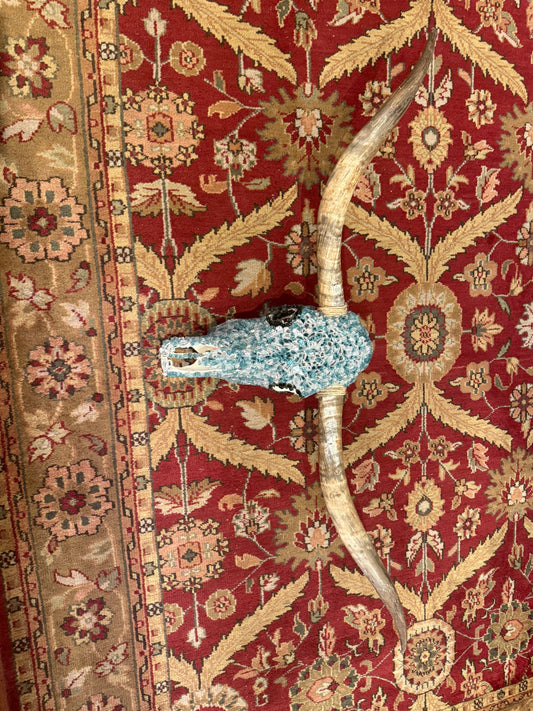 Beautiful in Blue Longhorn Skull