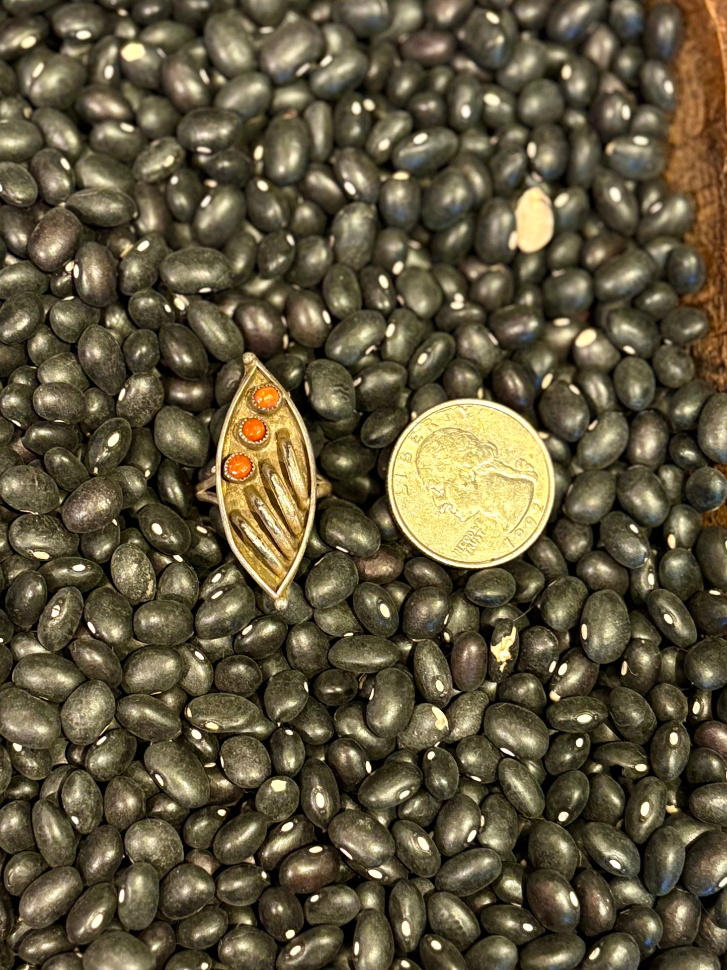 Coral Snake Eye Ring