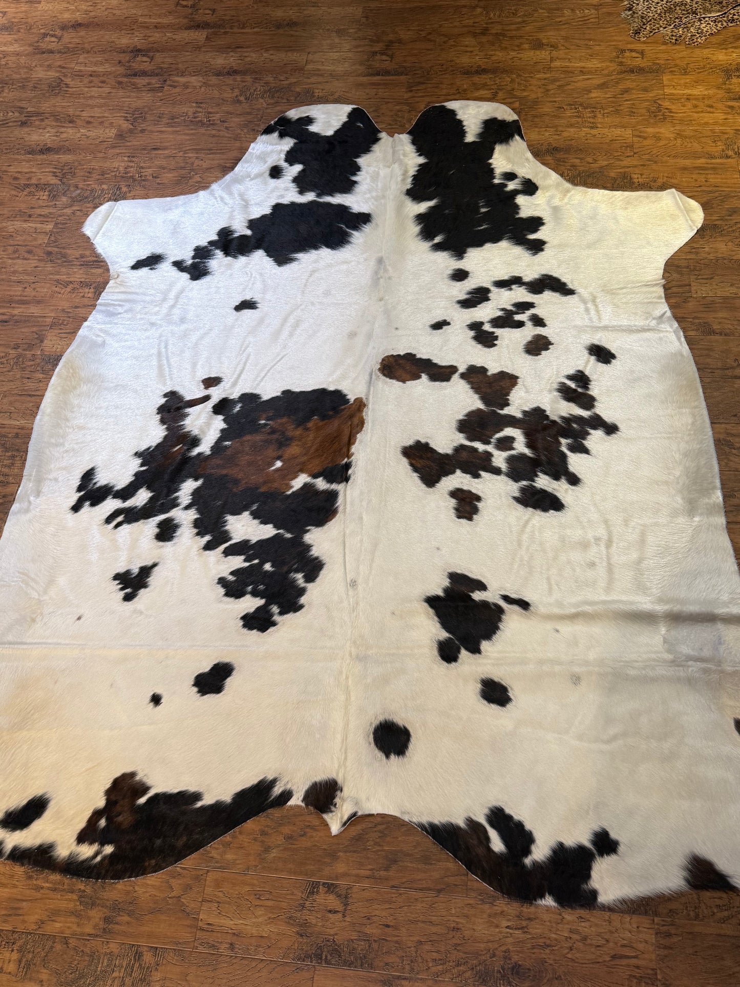 White Hide w/Black Spots and Some Brown